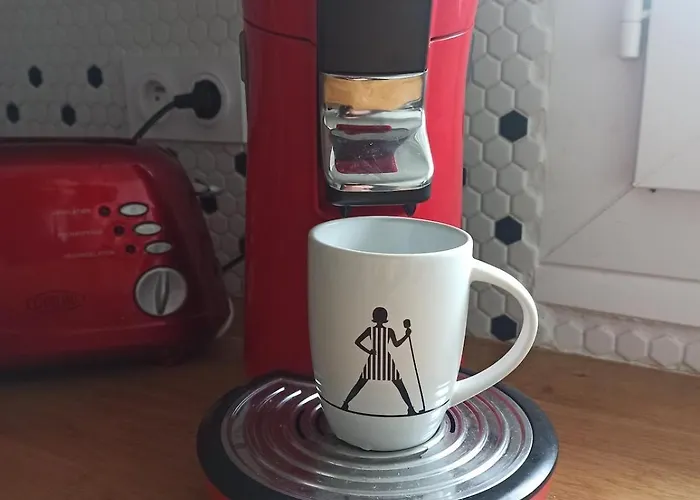 3 Chambres, Tres Lumineux * Баньер-де-Бигор